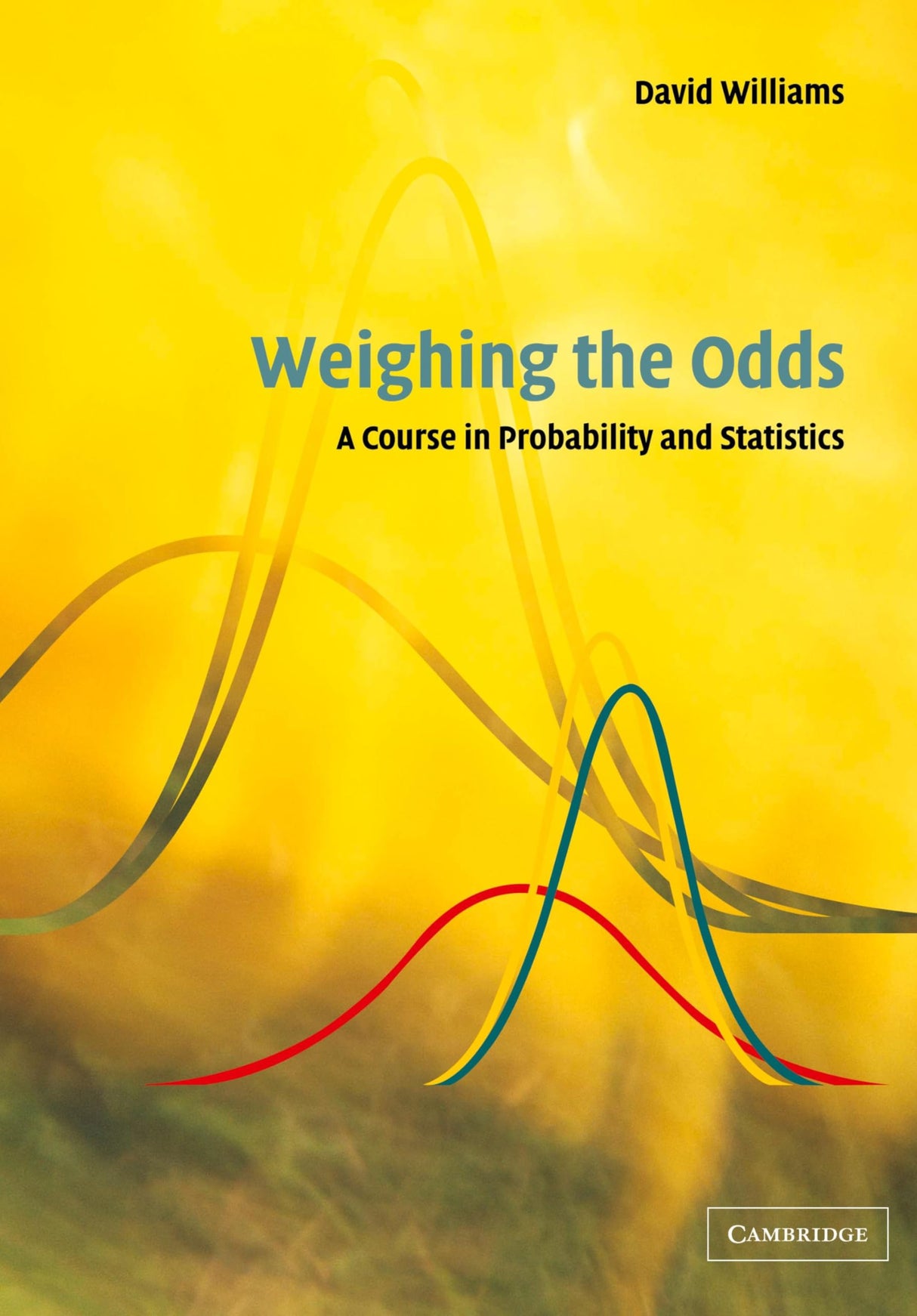 Weighing the Odds: A Course in Probability and Statistics - Retail Maharaj