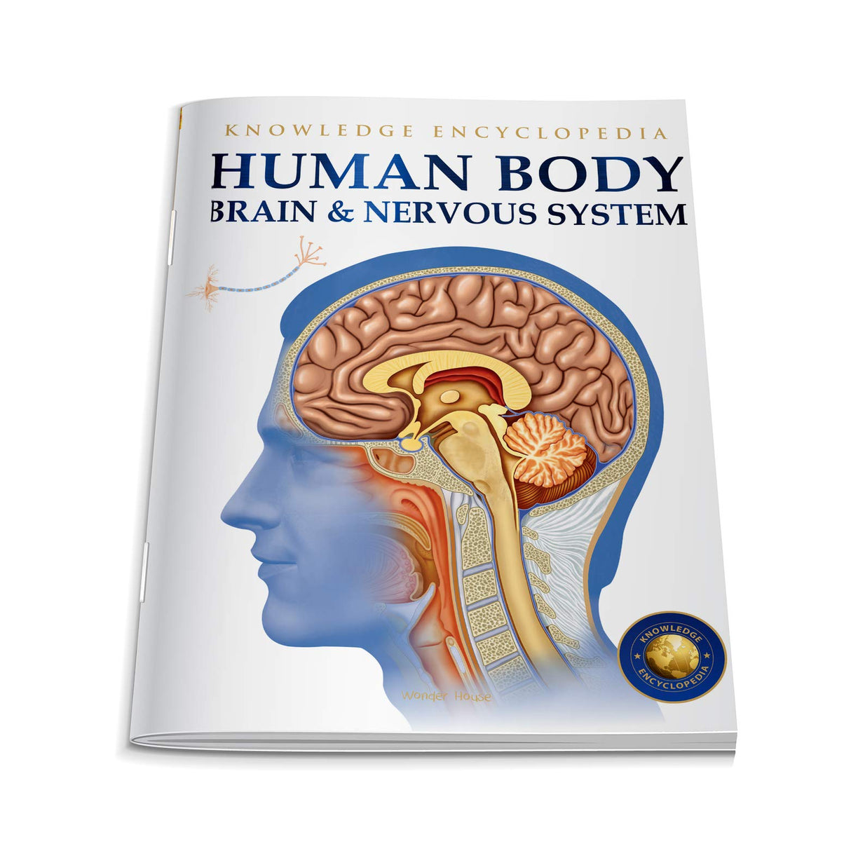 Human Body - Brain And Nervous System: Knowledge Encyclopedia For Children - Retail Maharaj