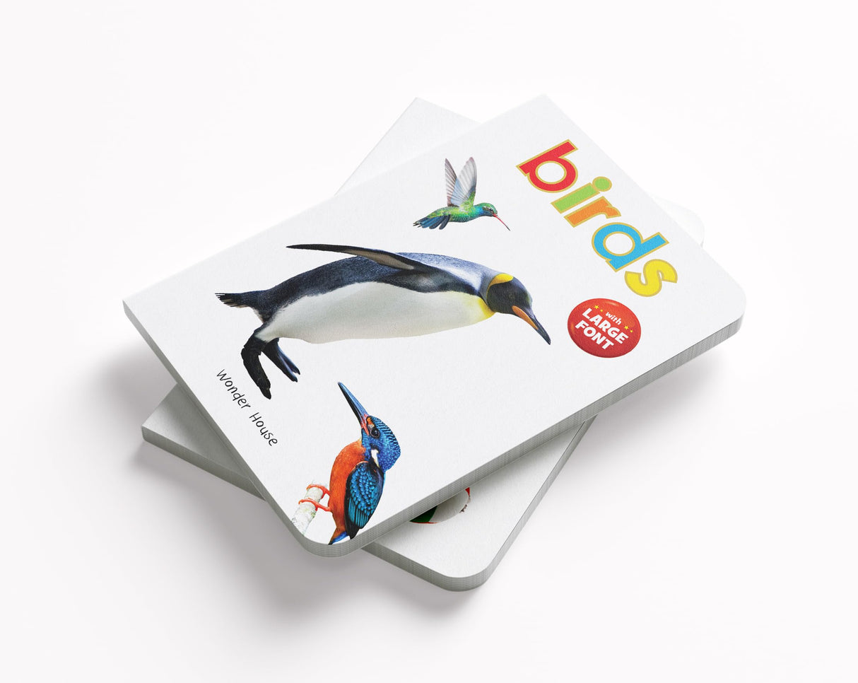 Birds – Early Learning Board Book with Large Font: Brightly Illustrated Bird Recognition Book for Kids | Big Board Books Series for Babies, Toddlers & Preschoolers | Learn About Sparrows, Parrots, Peacocks & More with Bold Text | Ages 0–5 Years - Retail Maharaj