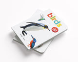 Birds – Early Learning Board Book with Large Font: Brightly Illustrated Bird Recognition Book for Kids | Big Board Books Series for Babies, Toddlers & Preschoolers | Learn About Sparrows, Parrots, Peacocks & More with Bold Text | Ages 0–5 Years - Retail Maharaj
