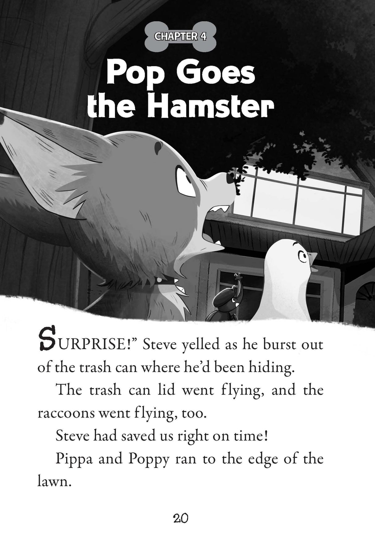 Pets Rule! #07: Revenge Of The Raccoons (A Branches Book) - Retail Maharaj