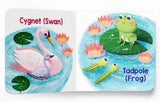 My First Baby Animal – Boxed Set of 5 Board Books: On the Pond, In the Forest, On the Farm, On the Mountains & In the Savanna | Illustrated Early ... Board Books for Ages 0–3 Years: Mini Box Set - Retail Maharaj