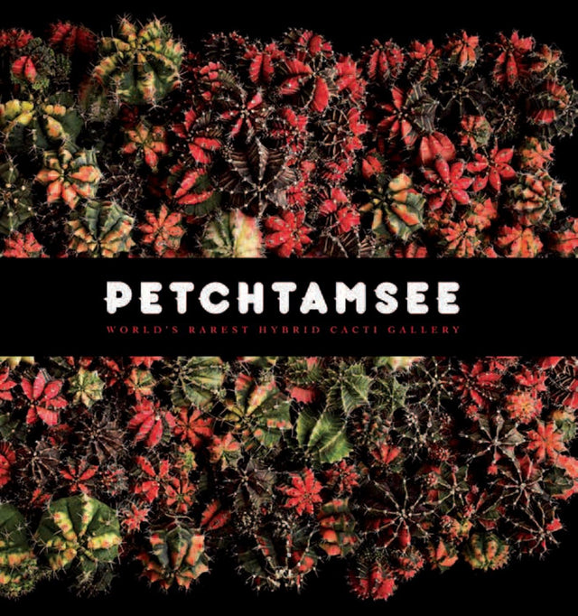 Petchtamsee: World's Rarest Hybrid Cacti Gallery - Retail Maharaj