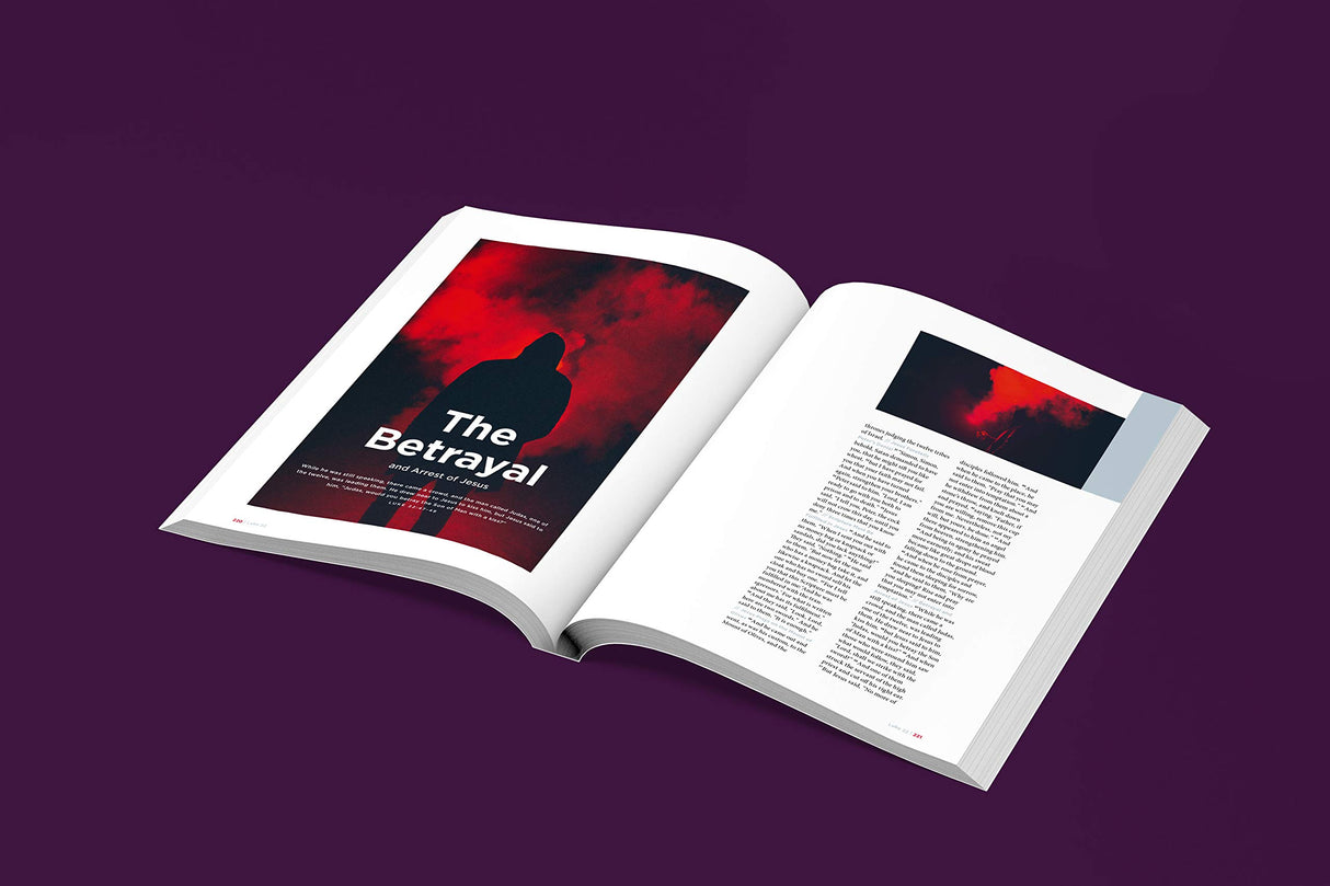 The New Testament Experience: The Gospels for the Modern World - Retail Maharaj