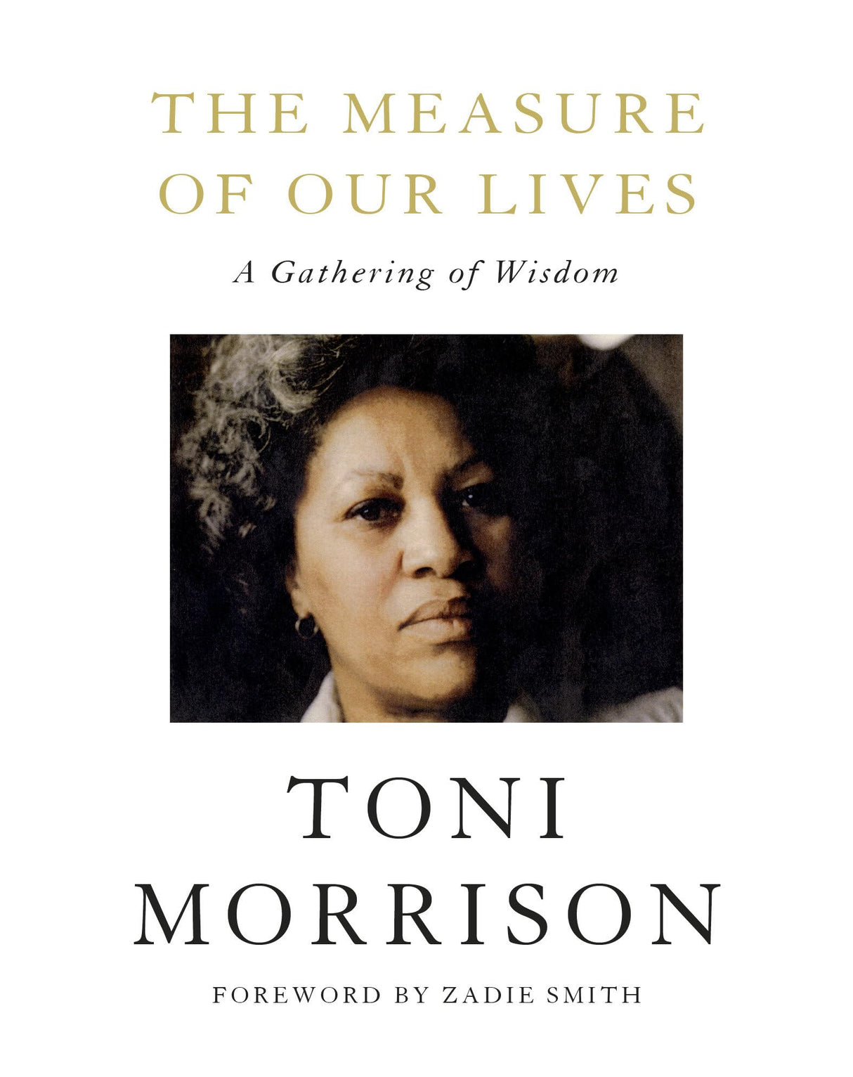 The Measure of Our Lives: A Gathering of Wisdom - Retail Maharaj