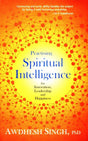 Practising Spiritual Intelligence: For Innovation, Leadership And Happiness - Retail Maharaj