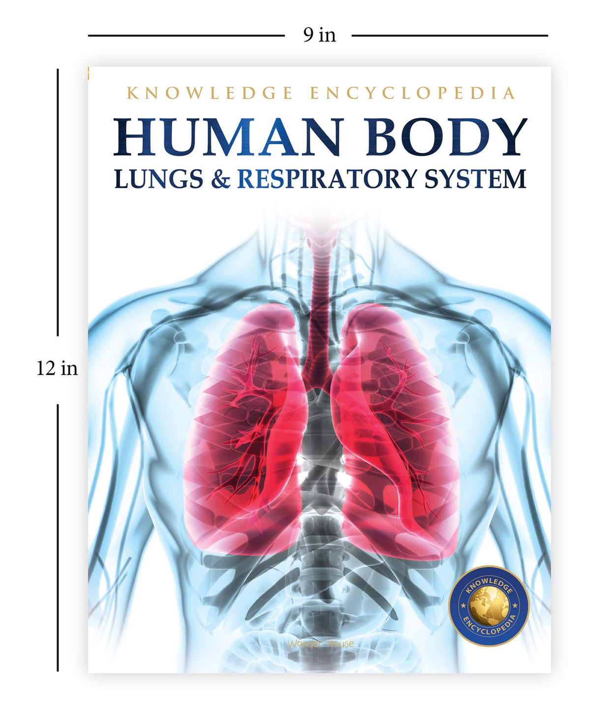Human Body - Lungs And Respiratory System: Knowledge Encyclopedia For Children - Retail Maharaj