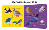 My First Big Book Boxset-Volume 2 (5 Books): A Pizza Box of 5 Large Font Illustrated Board Books on Animals, Birds, Fruits and Vegetables, Seasons, Opposites and Things at Home | Vocabulary Builder for Preschool Kids, Toddlers I Perfect Gift Set I Ages 1+ - Retail Maharaj