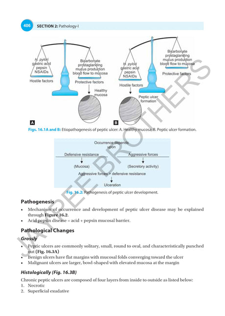 Textbook of Pharmacology & Pathology for Nurses-I - Retail Maharaj
