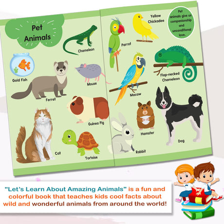 Hello Friend Books Let's Learn Giant Board Book: Animals - Large Board Book with Beautifully Illustrated Images for Children to Learn - Retail Maharaj