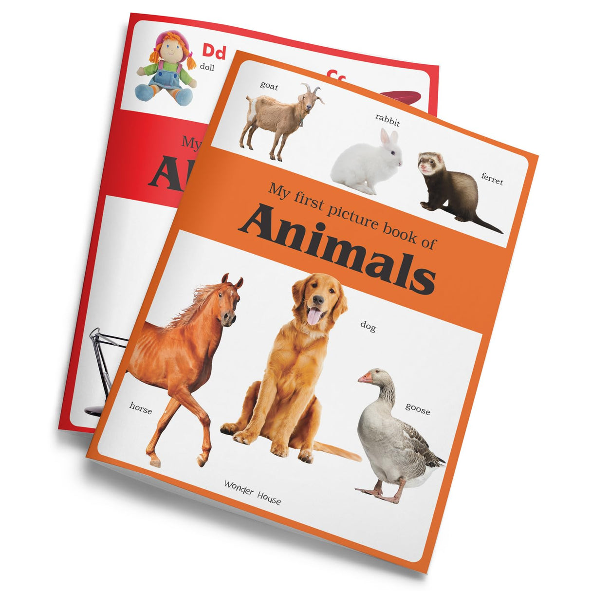 My First Picture Books Collection (Pack of 12 Picture Books) - Retail Maharaj
