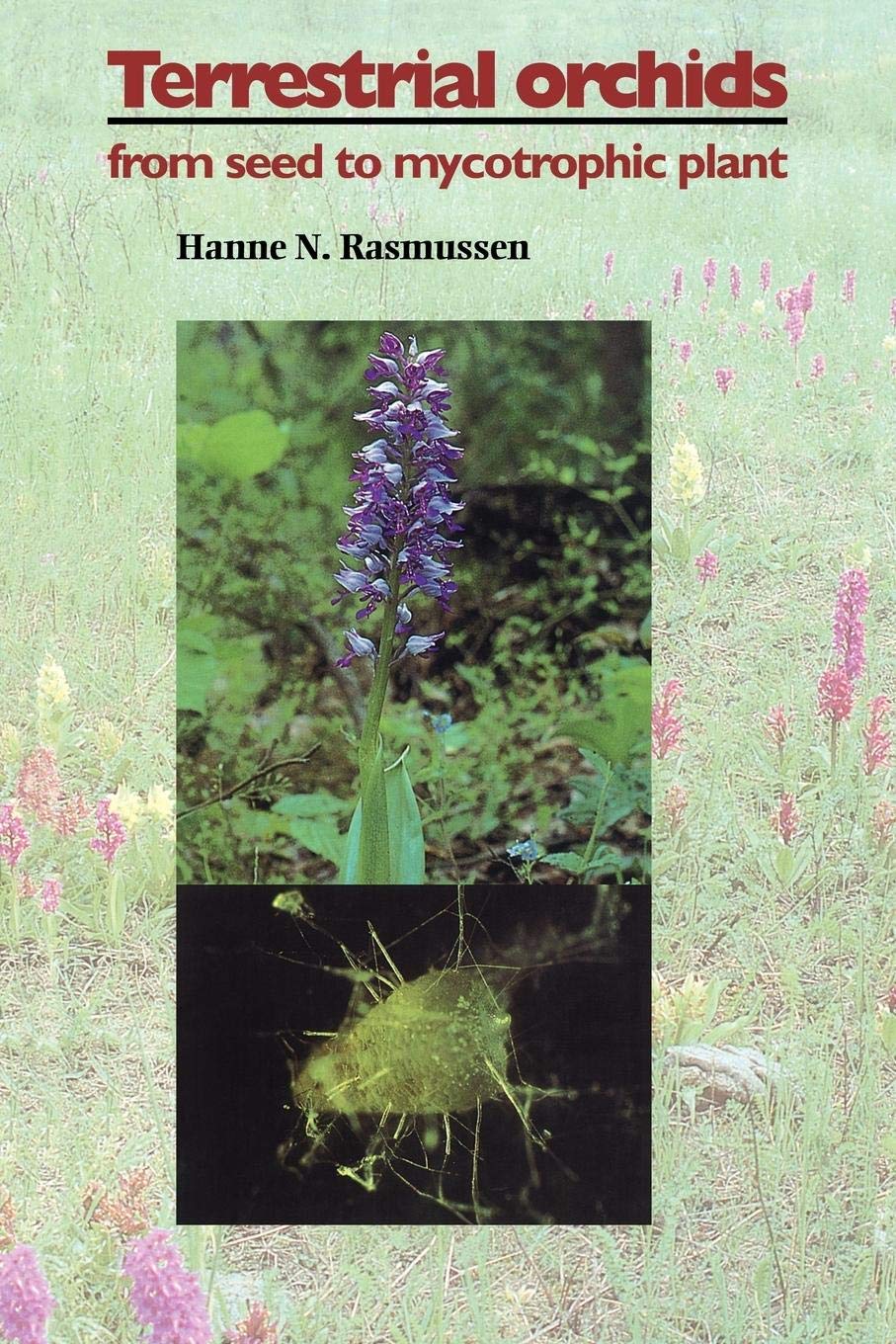 Terrestrial Orchids: From Seed to Mycotrophic Plant - Retail Maharaj