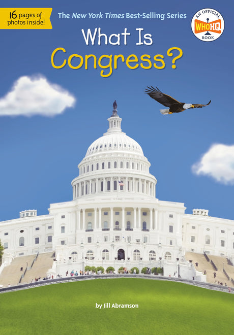 What Is Congress? (What Was?) - Retail Maharaj