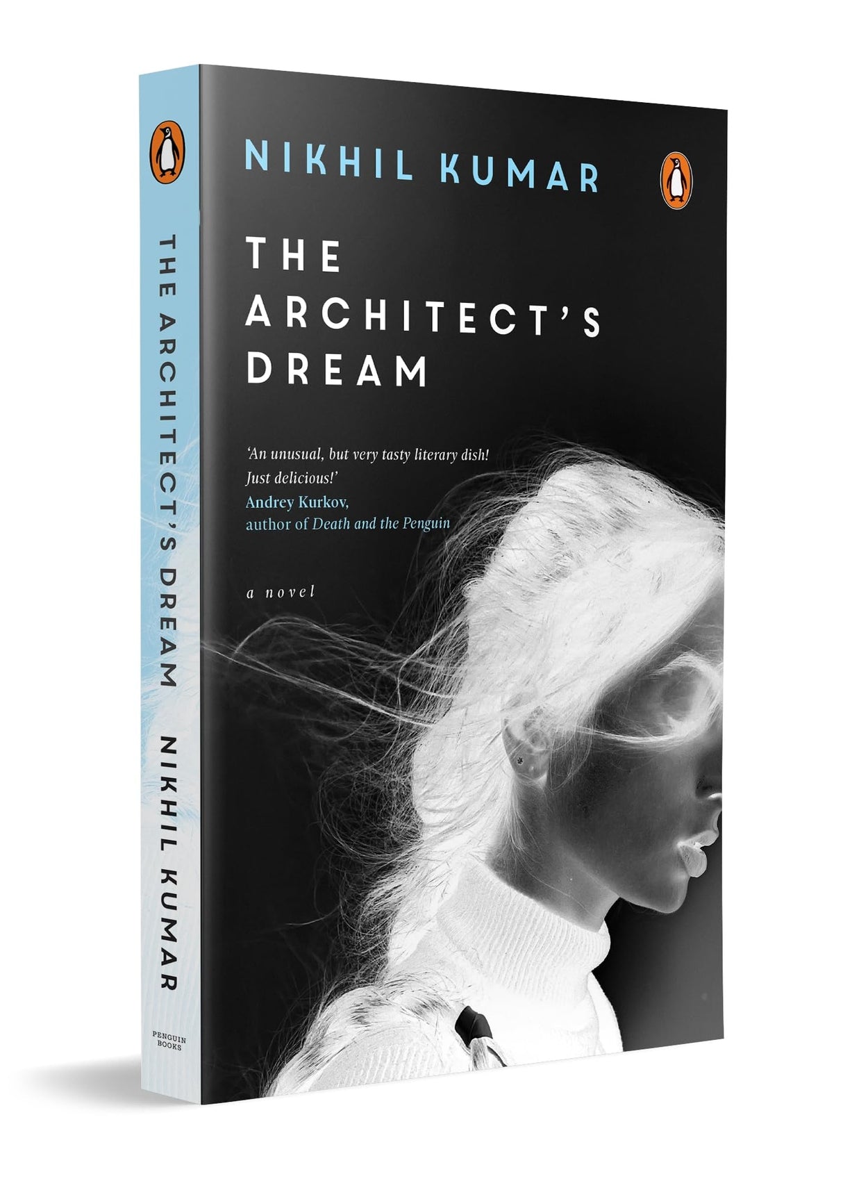 The Architect's Dream - Retail Maharaj