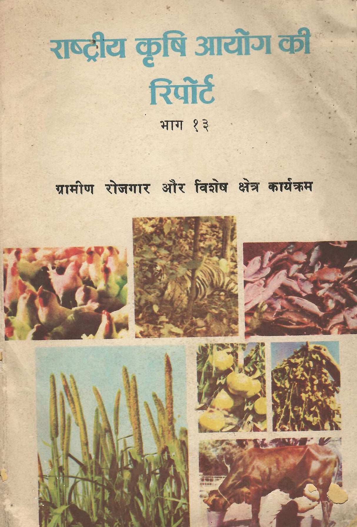 National Commission on Agriculture Report 1976 (Part 13 Rural Employment and Special Sector Program)(Hindi) - ????????? ???? ???? ?? ??????? 1976 - ??? 13 - ??????? ?????? ?? ????? ??????? ????????? [Paperback] Ministry of Agricultural and Irrigation