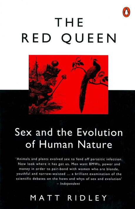 The Red Queen - Retail Maharaj