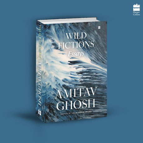 Wild Fictions: Essays - Retail Maharaj
