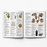 Chambers Junior Illustrated Dictionary - Retail Maharaj