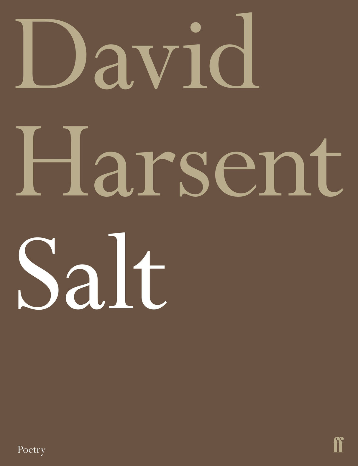 Salt - Retail Maharaj