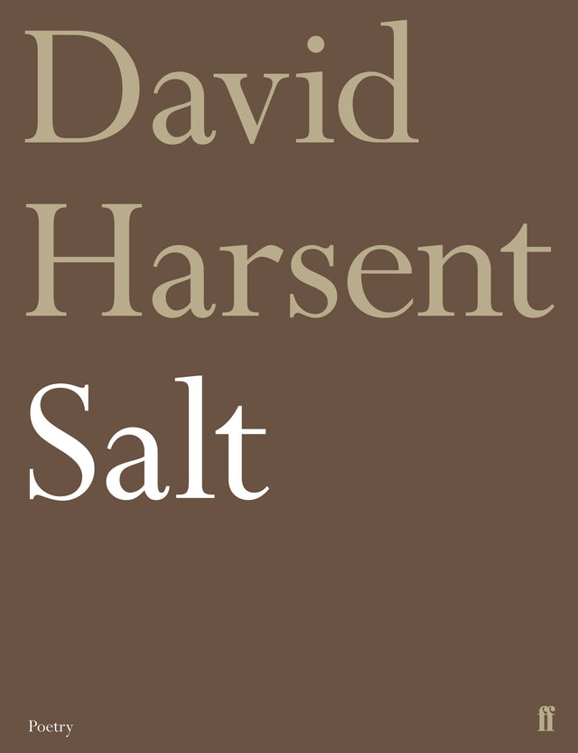 Salt - Retail Maharaj