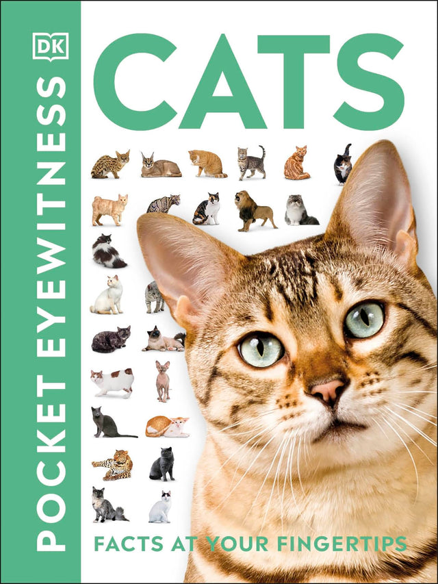 Cats: Facts at Your Fingertips - Retail Maharaj