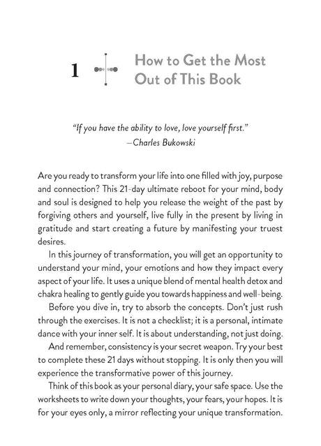 The Ultimate Reboot - Mastering Forgiveness, Gratitude and Manifestation through Chakra Healing - Retail Maharaj