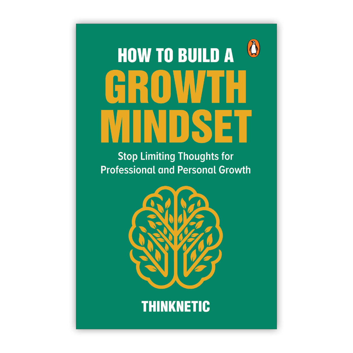 How To Build a Growth Mindset: Stop Limiting Thoughts for Professional and Personal Growth - Retail Maharaj
