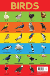 Birds Chart - Early Learning Educational Chart For Kids: Perfect For Homeschooling, Kindergarten and Nursery Students (11.5 Inches X 17.5 Inches) - Retail Maharaj