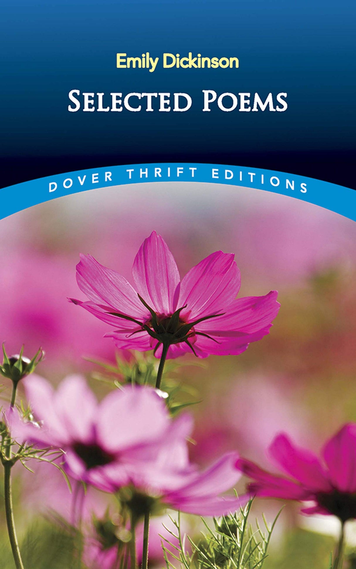 Selected Poems (Thrift Editions) - Retail Maharaj