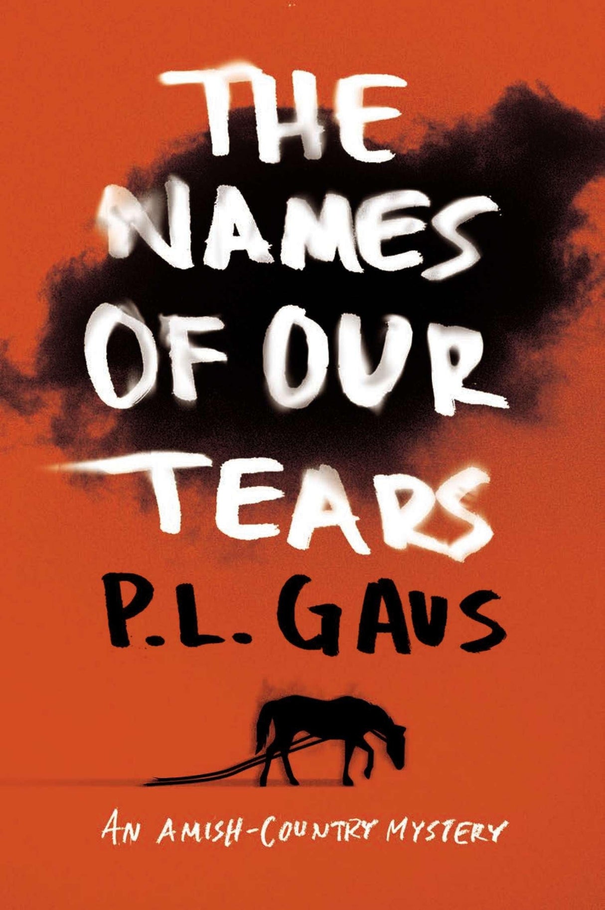 The Names of Our Tears: An Amish-Country Mystery: 8 - Retail Maharaj