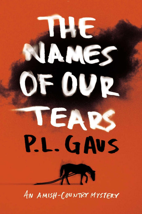 The Names of Our Tears: An Amish-Country Mystery: 8 - Retail Maharaj
