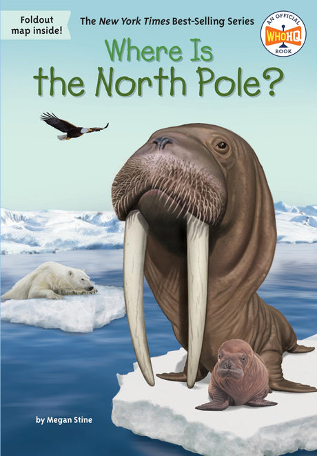 Where Is the North Pole? - Retail Maharaj