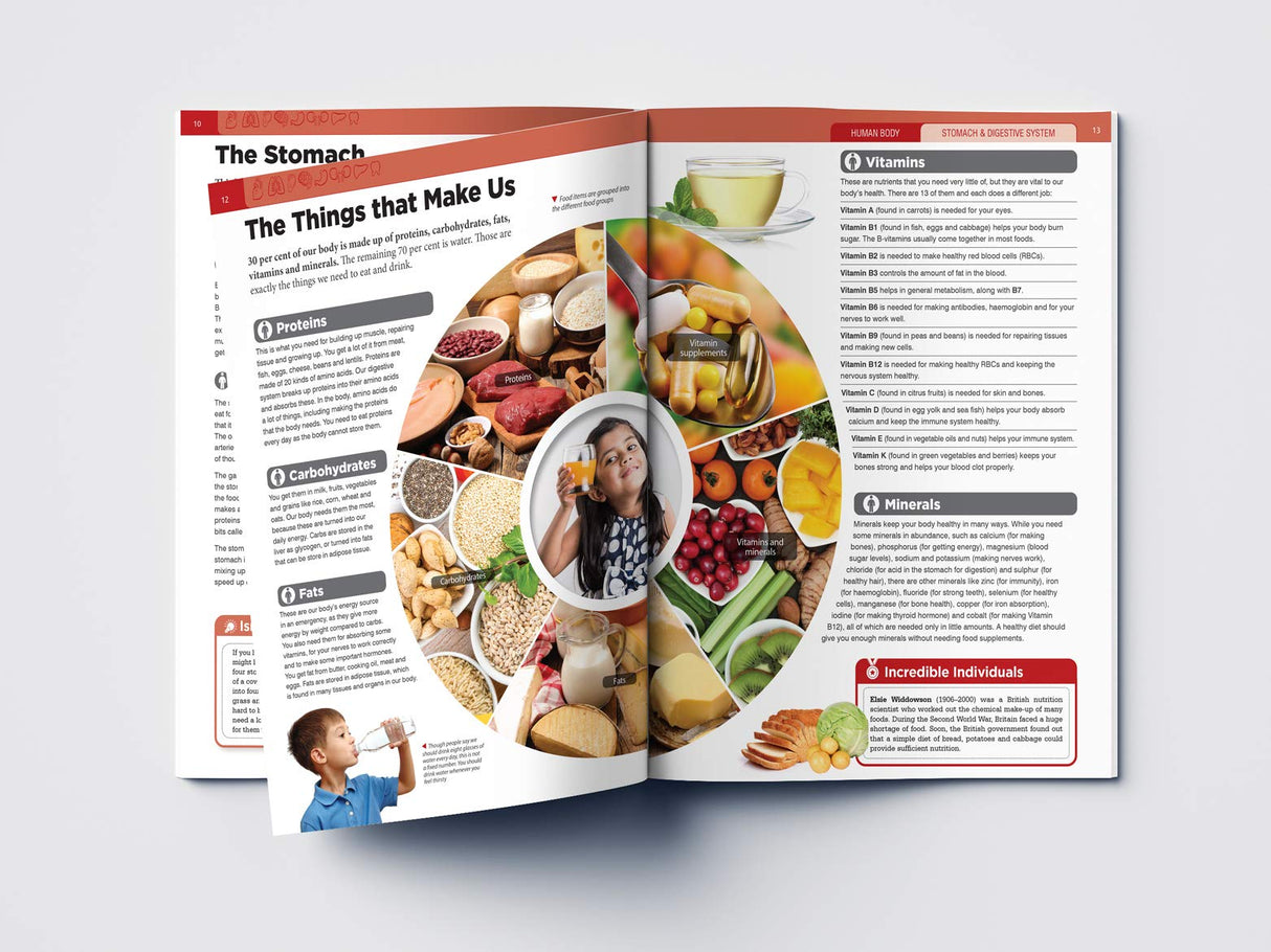 Human Body - Stomach And Digestive System: Knowledge Encyclopedia For Children - Retail Maharaj