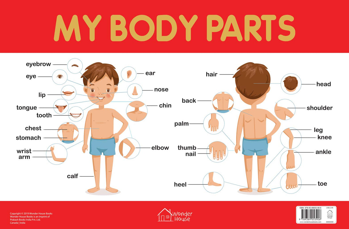 My Body Parts Chart - Early Learning Educational Chart For Kids: Perfect For Homeschooling, Kindergarten and Nursery Students (11.5 Inches X 17.5 Inches) - Retail Maharaj