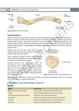 INDERBIR SINGH'S TEXTBOOK OF HUMAN OSTEOLOGY WITH ATLAS OF MUSCLE ATTACHMENTS - Retail Maharaj