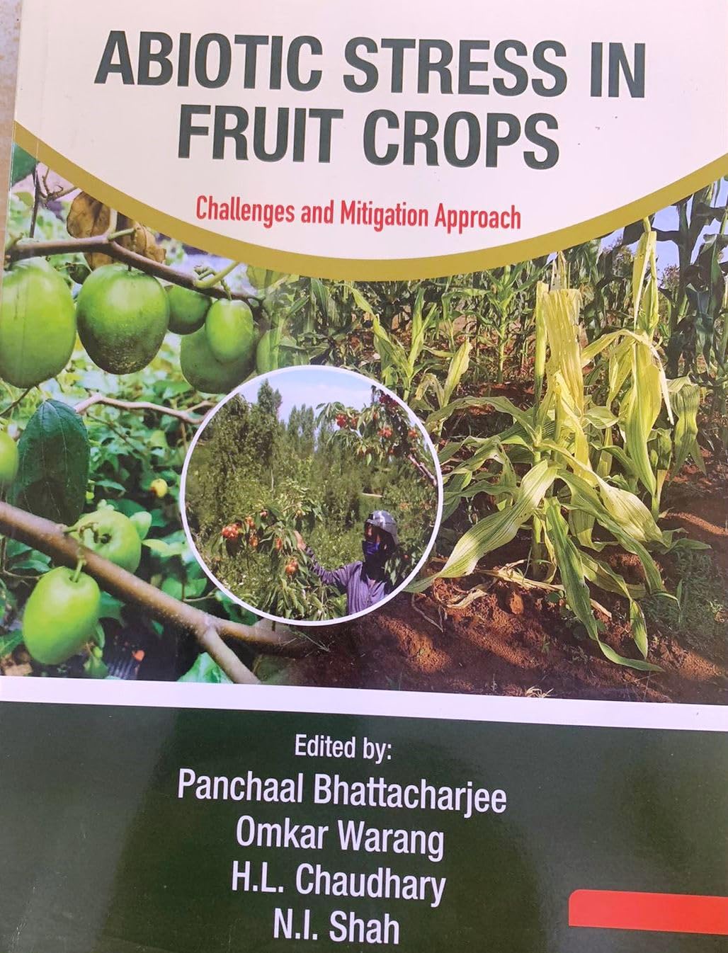 Abiotic Stress in Fruit Crops Challenges & Mitigation Approach