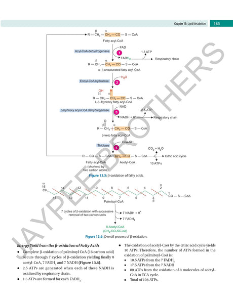 ESSENTIALS OF BIOCHEMISTRY - Retail Maharaj