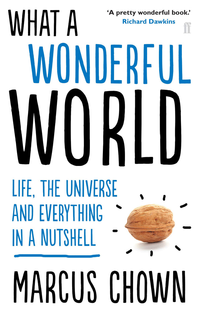 What a Wonderful World: Life, the Universe and Everything in a Nutshell - Retail Maharaj