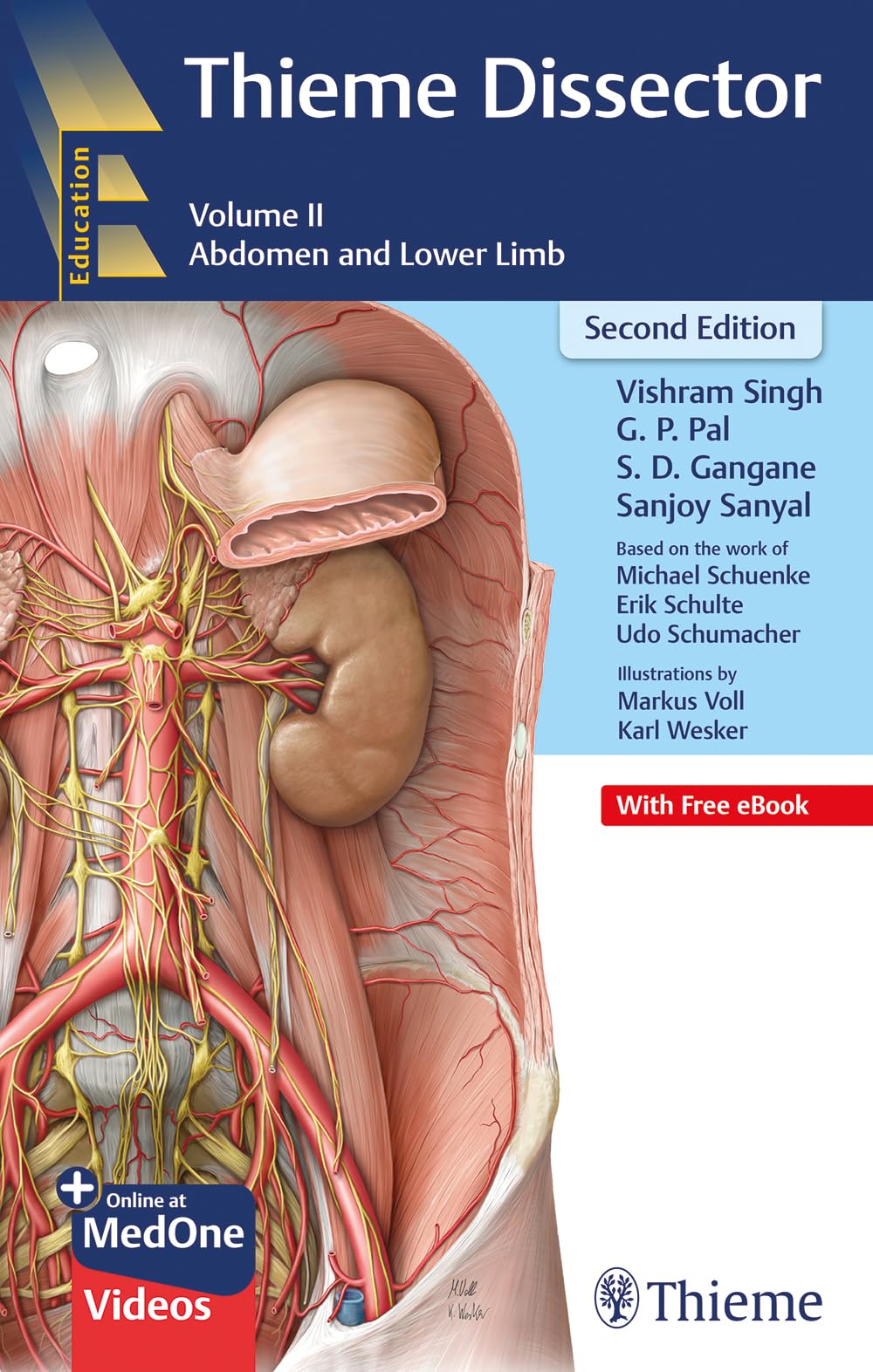 THIEME DISSECTOR ABDOMEN AND LOWER LIMB VOLUME 2 WITH ACCESS CODE 2ED (PB 2023) - Retail Maharaj
