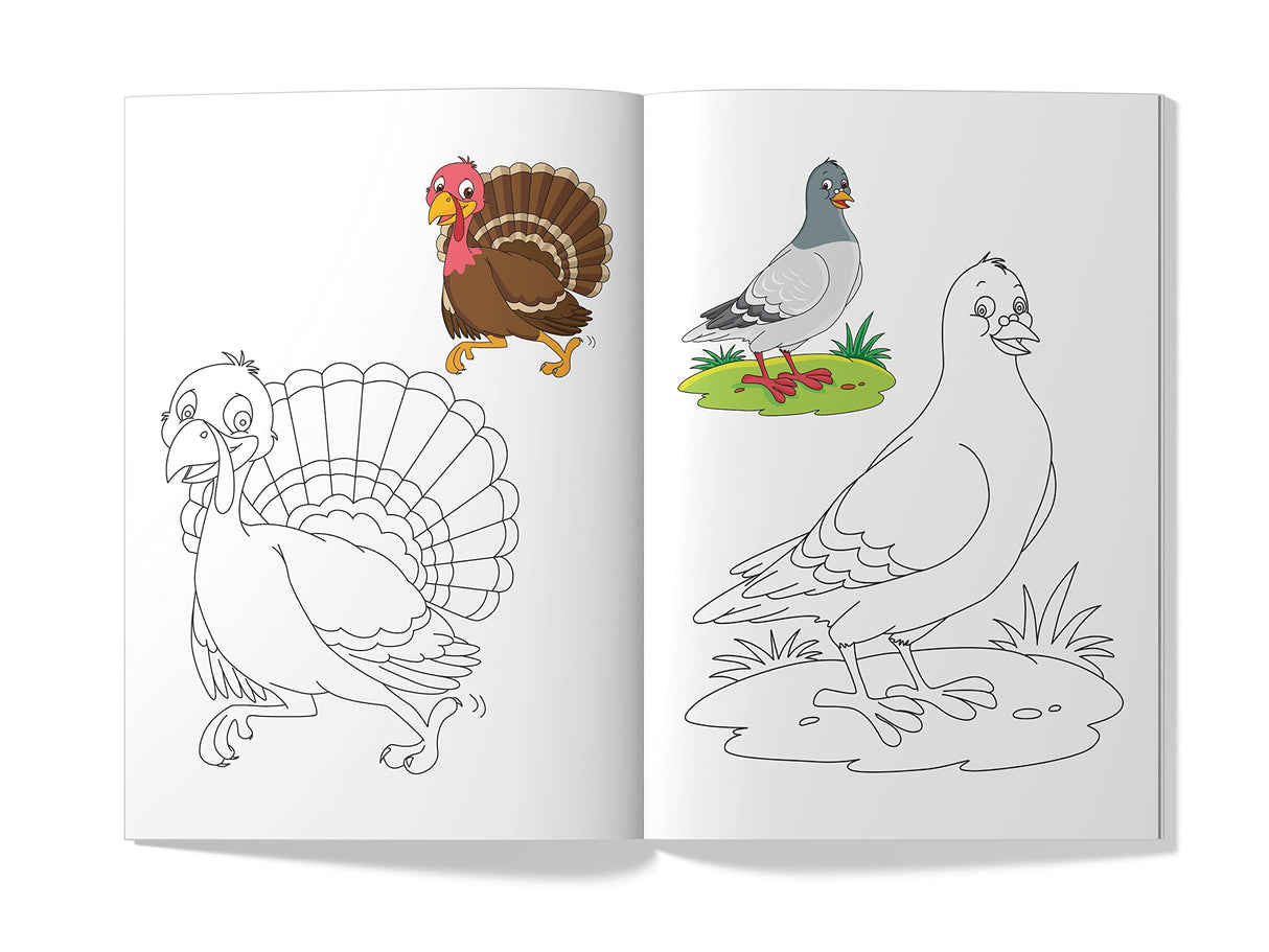 Little Artist Series Birds: Copy Colour Books - Retail Maharaj