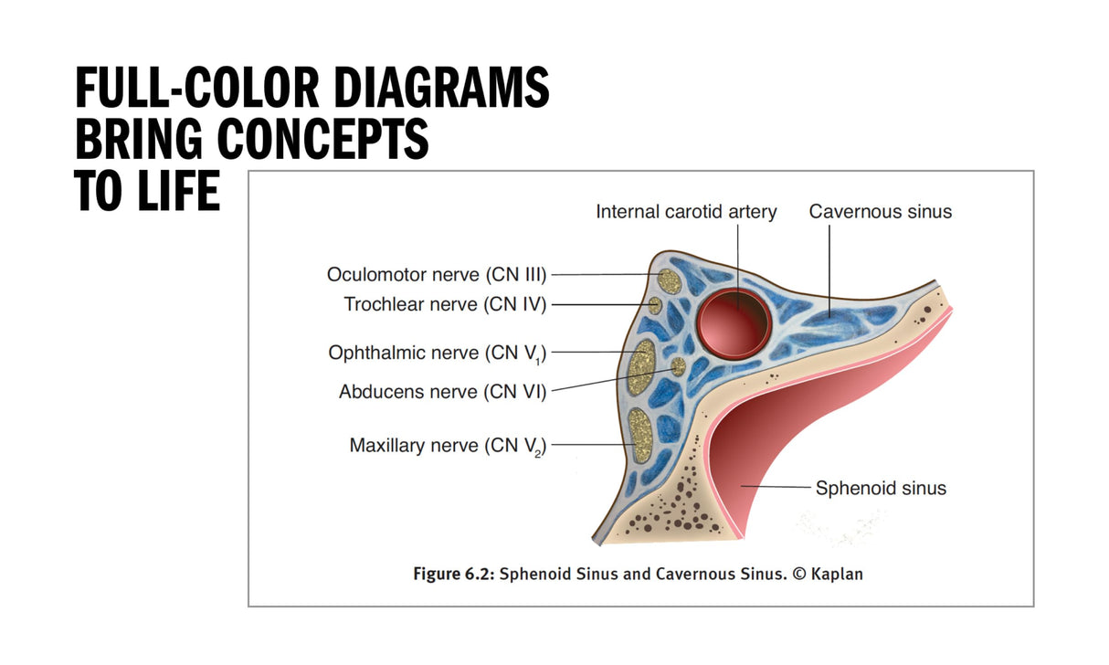 Master The Boards Usmle Step 2 Ck, Seventh Edition - Retail Maharaj