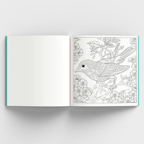 Enchanting Nature: Coloring Book for Adults with Tear out Sheets | Fun and Relaxing Doodle Designs - Retail Maharaj