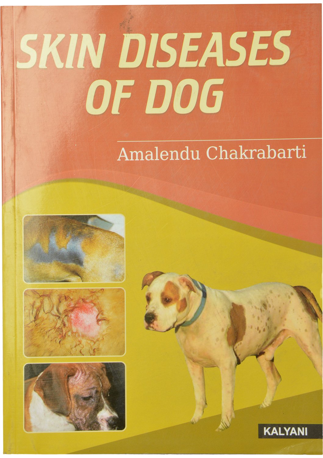 Skin Diseases of Dog