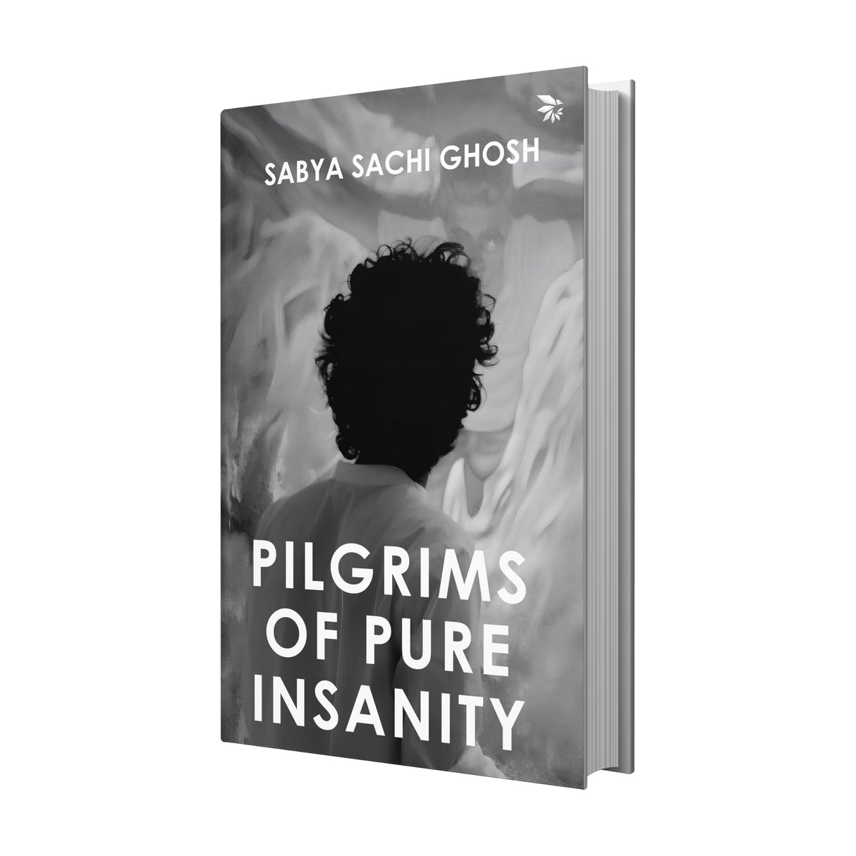 Pilgrims of Pure Insanity - Retail Maharaj