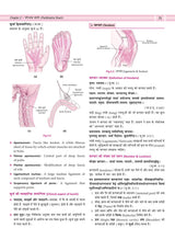Illustrated Textbook of Rachna Sharir (Vol-1) (सचित्र रचना शारीर) Modern and Ayurveda anatomy with Clinical & Applied aspects based on new NCISM curriculum for BAMS 1st Professional - Retail Maharaj