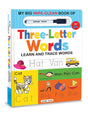 My Big Wipe And Clean Book of Three Letter Words for Kids : Learn And Trace Words - Retail Maharaj