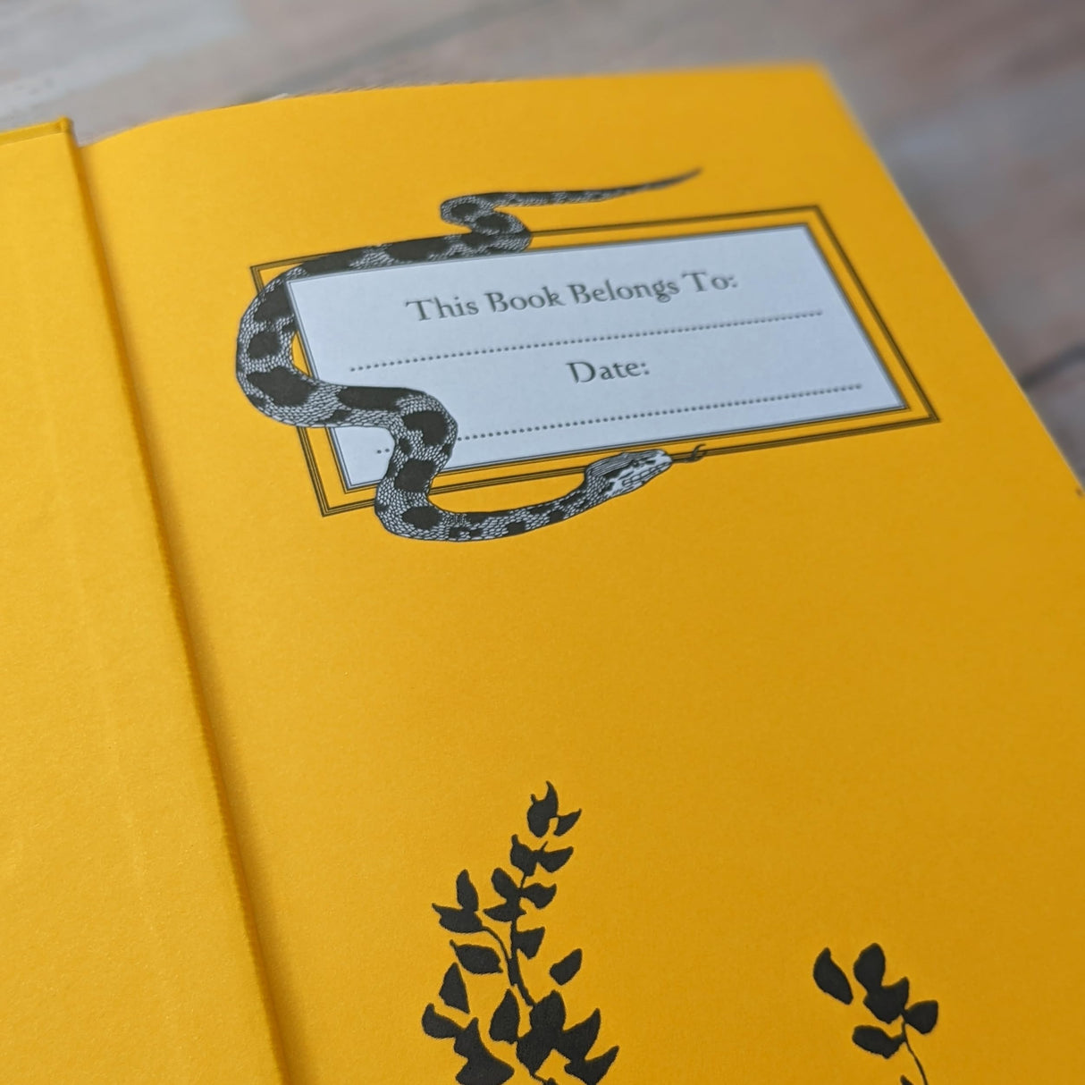 The Jungle Book (Bath Treasury of Children's Classics) - Retail Maharaj