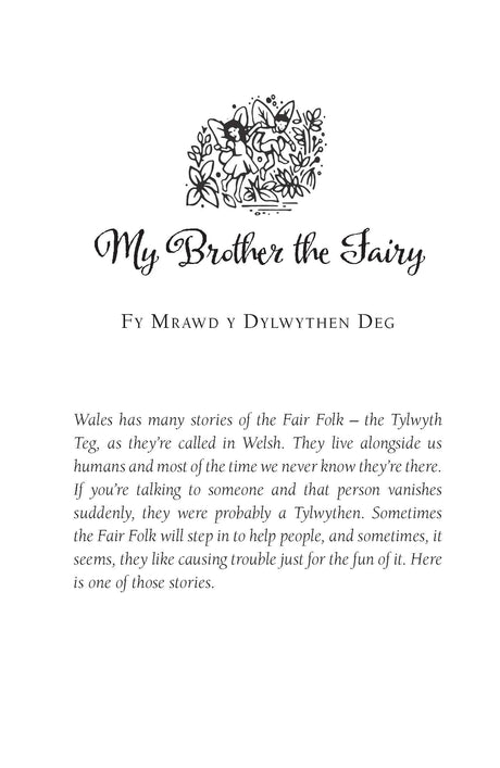 Scholastic Classics: Welsh Fairy Tales, Myths And Legends - Retail Maharaj