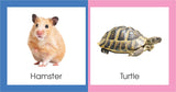 FLAP My Learning library Animals - Retail Maharaj