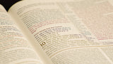 NIV, The Grace and Truth Study Bible, Leathersoft, Navy, Red Letter, Comfort Print - Retail Maharaj